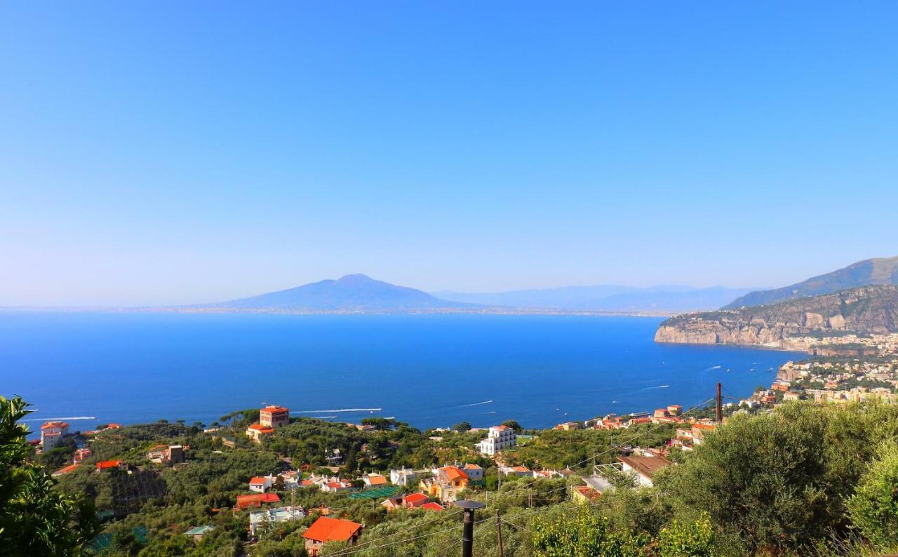 La Rosa Del Sud - De Vivo Realty Sorrento Apartment Luaran gambar