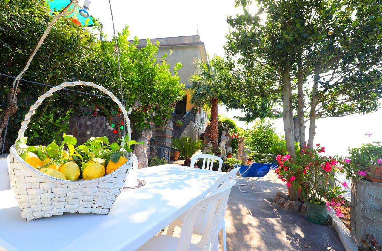 La Rosa Del Sud - De Vivo Realty Sorrento Apartment Luaran gambar