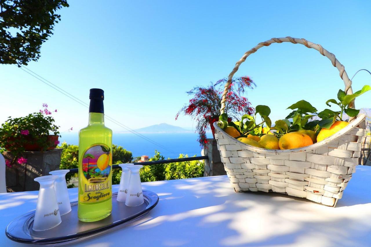 La Rosa Del Sud - De Vivo Realty Sorrento Apartment Luaran gambar